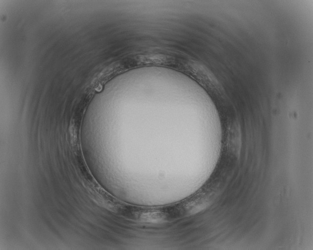 X0000083010173200702161600