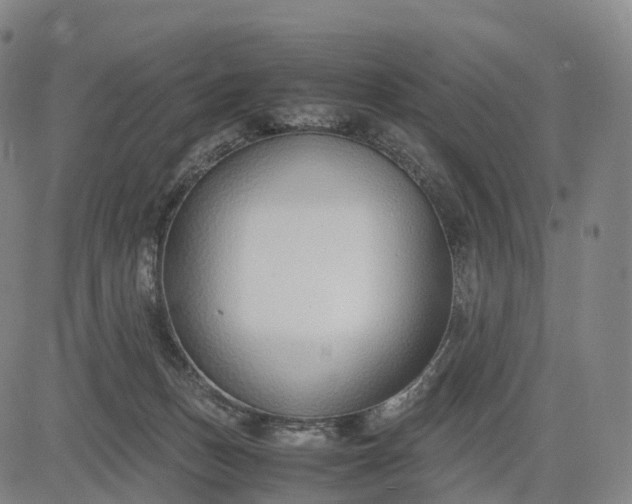 X0000083010175200702161600