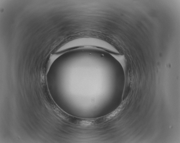 X0000083010176200702161600