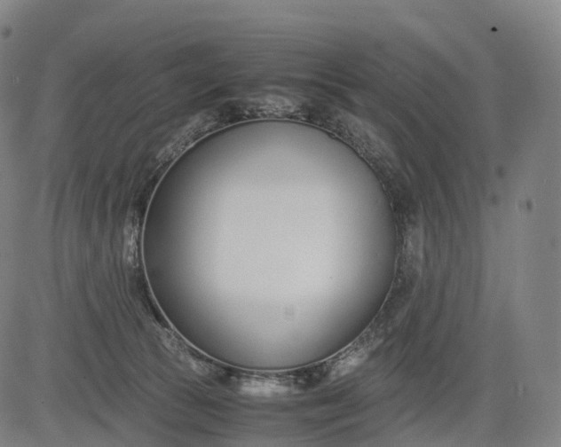 X0000083010177200702161600