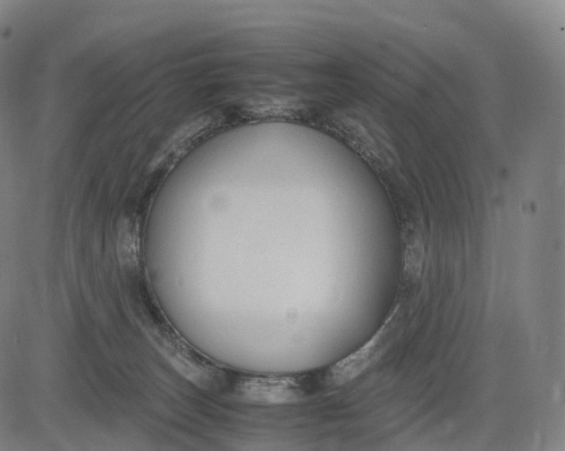 X0000083010179200702161600