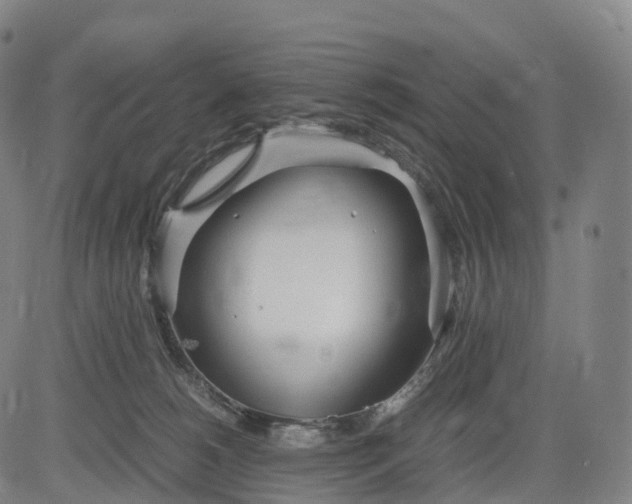 X0000083010180200702161600