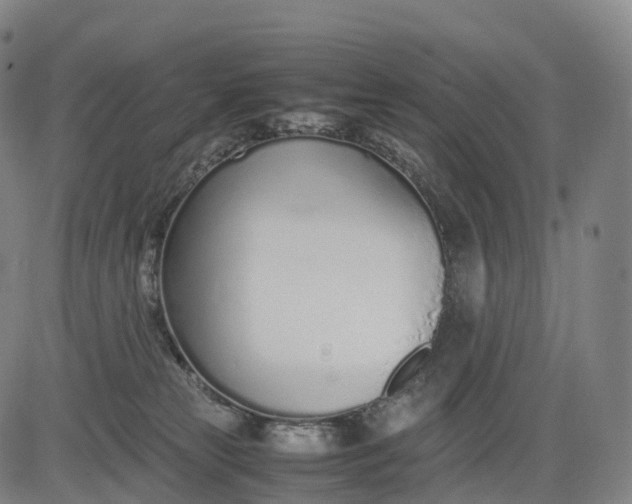 X0000083010181200702161600