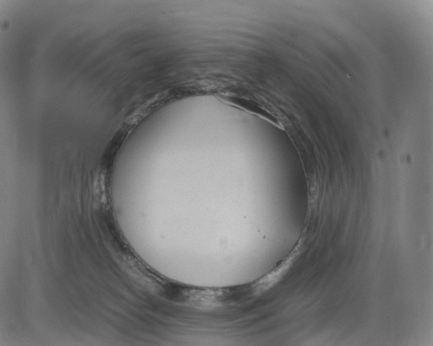 X0000083010182200702161600