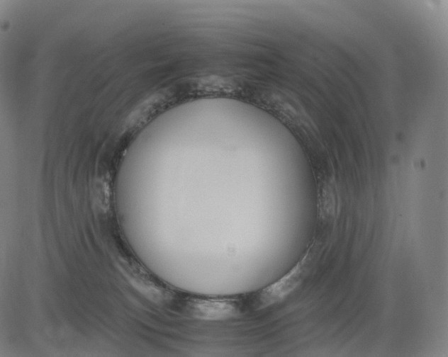 X0000083010183200702161600