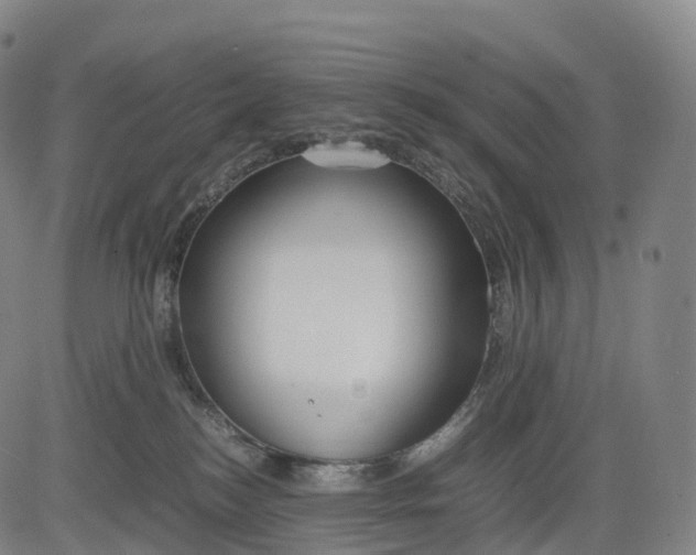 X0000083010184200702161600