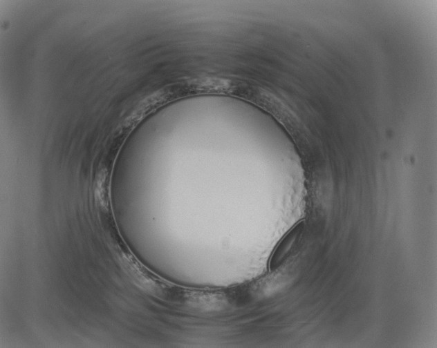 X0000083010185200702161600