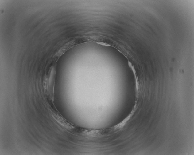 X0000083010186200702161600