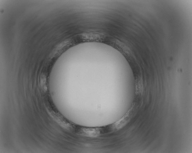 X0000083010187200702161600