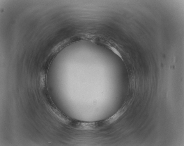 X0000083010188200702161600