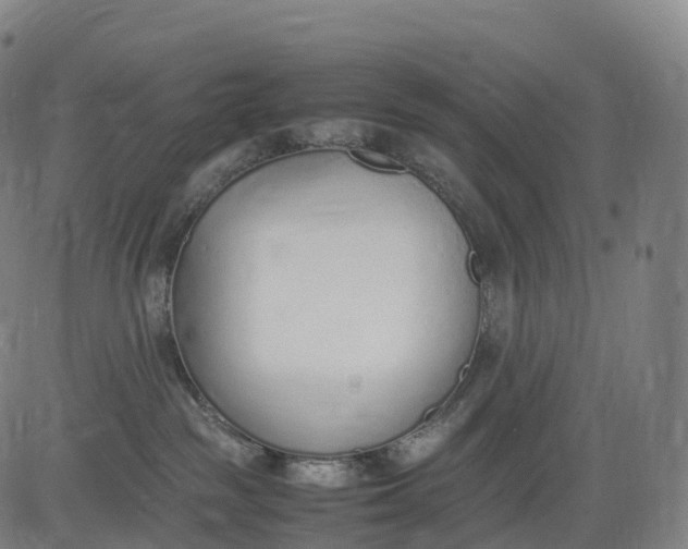 X0000083010189200702161600