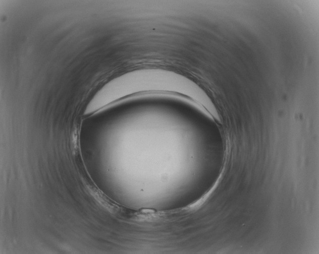 X0000083010190200702161600