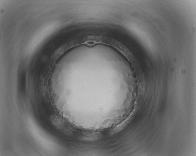 X0000083010191200702161600