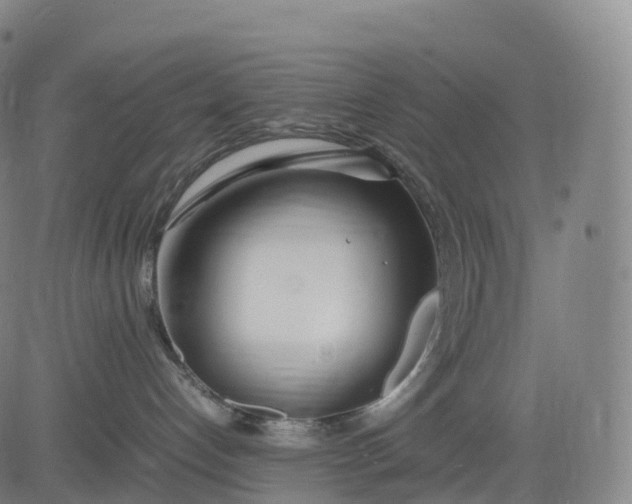 X0000083010192200702161600