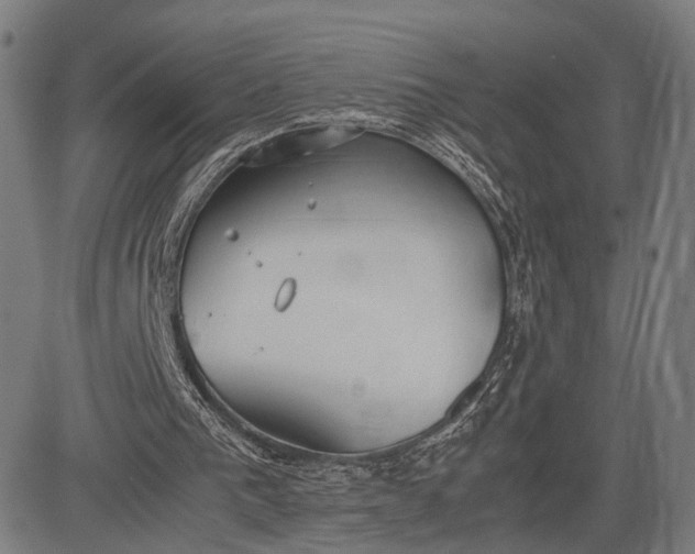 X0000083010193200702161600