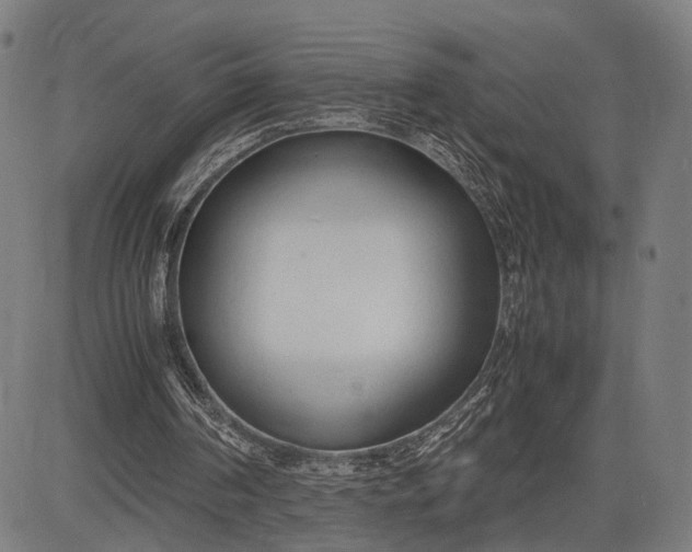 X0000083010194200702161600