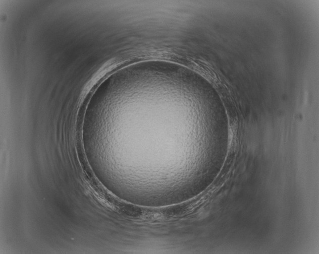 X0000083010195200702161600