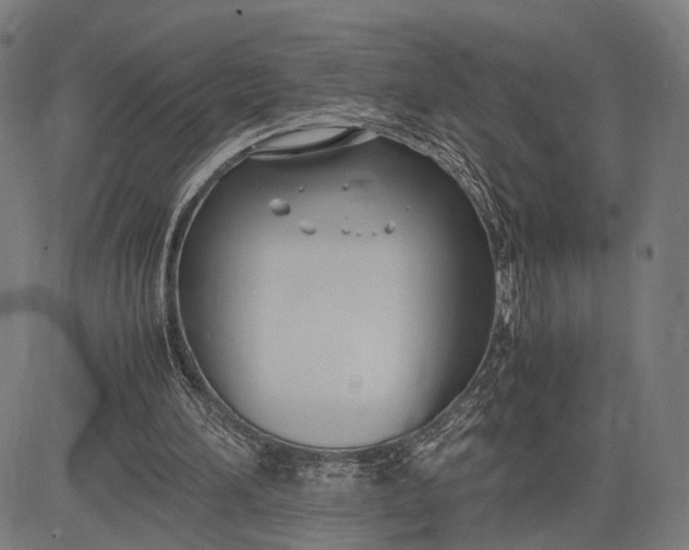 X0000083010196200702161600