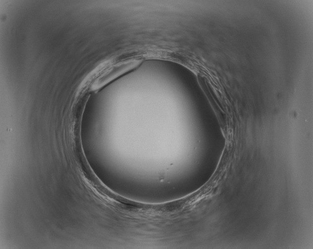 X0000083010197200702161600