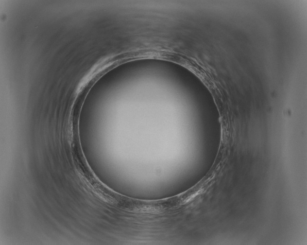 X0000083010198200702161559