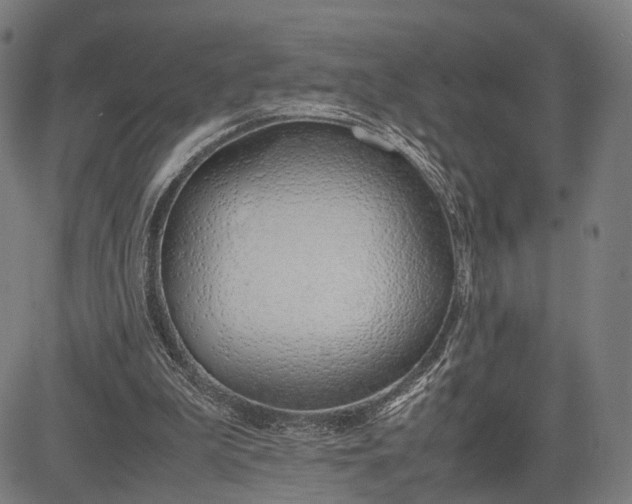 X0000083010199200702161559