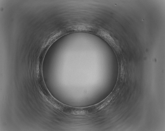 X0000083010202200702161559