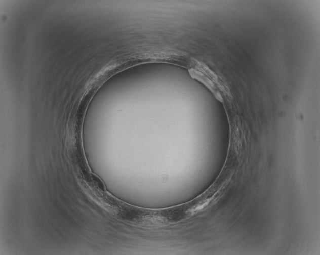 X0000083010203200702161559