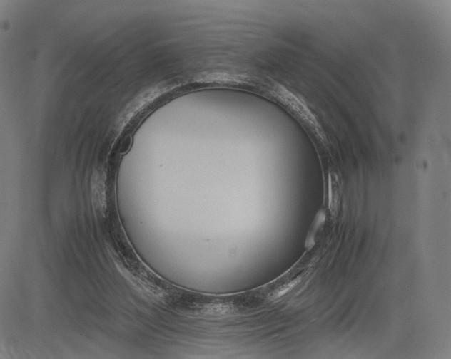 X0000083010204200702161559