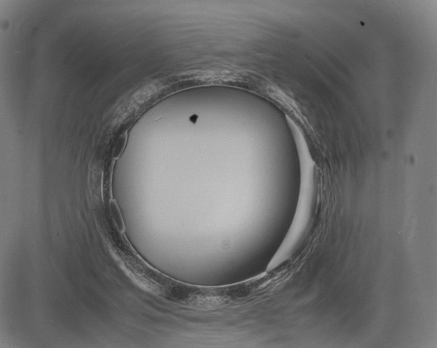 X0000083010205200702161559