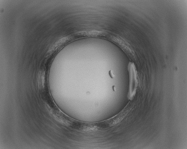 X0000083010206200702161559