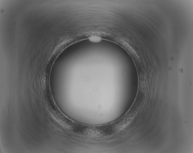 X0000083010207200702161559