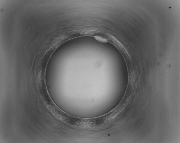 X0000083010209200702161559