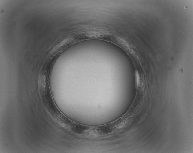 X0000083010211200702161559