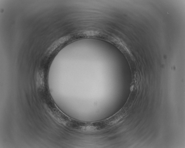 X0000083010212200702161559