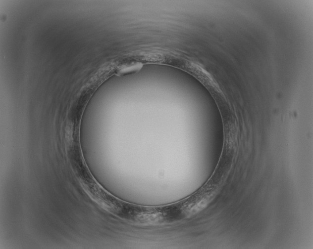 X0000083010213200702161559