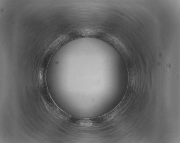 X0000083010214200702161559