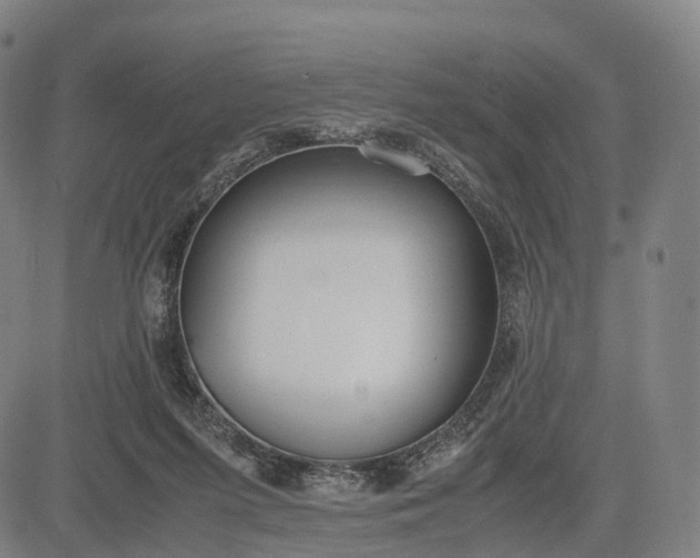 X0000083010215200702161559