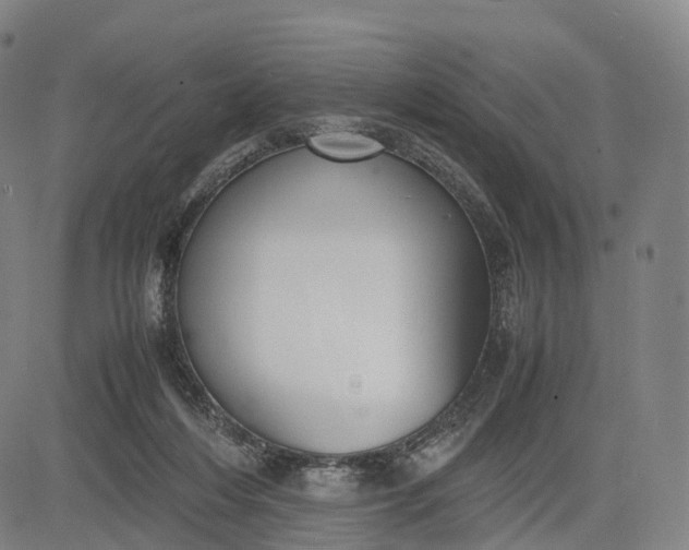 X0000083010216200702161559