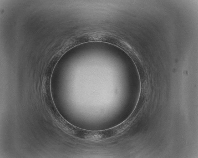 X0000083010217200702161559