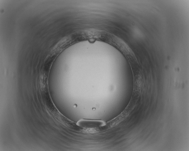 X0000083010218200702161559