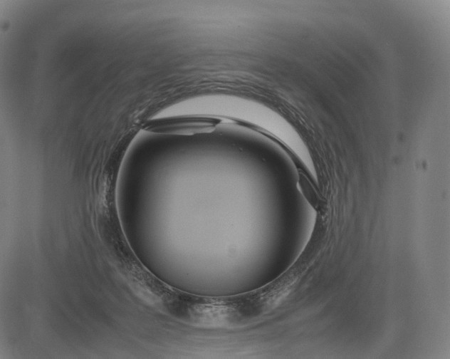 X0000083010219200702161559