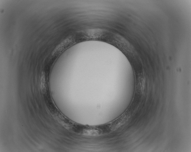 X0000083010220200702161559