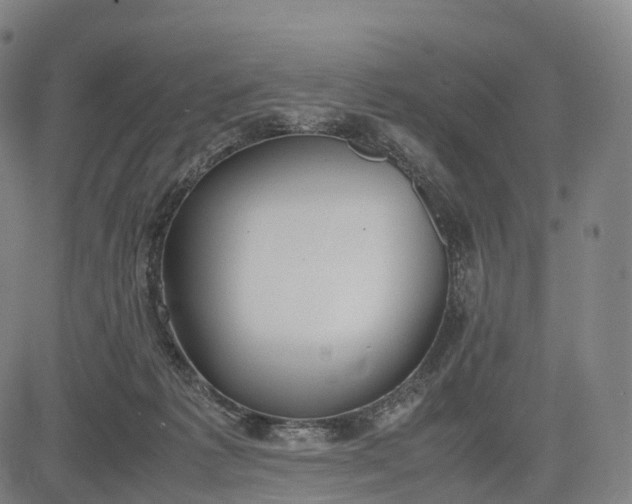 X0000083010221200702161559