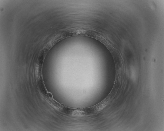 X0000083010222200702161559