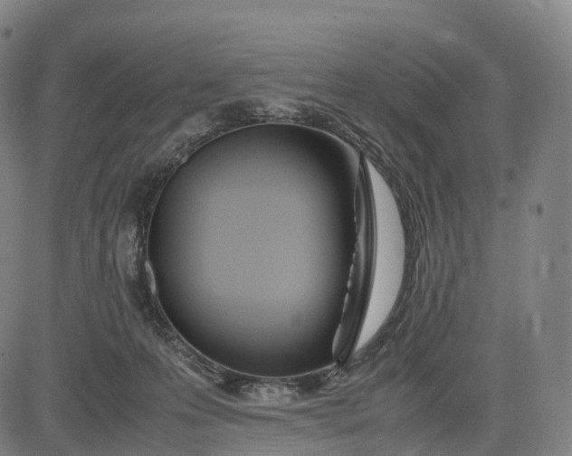 X0000083010223200702161559