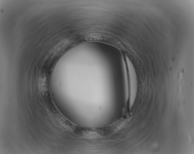 X0000083010224200702161559