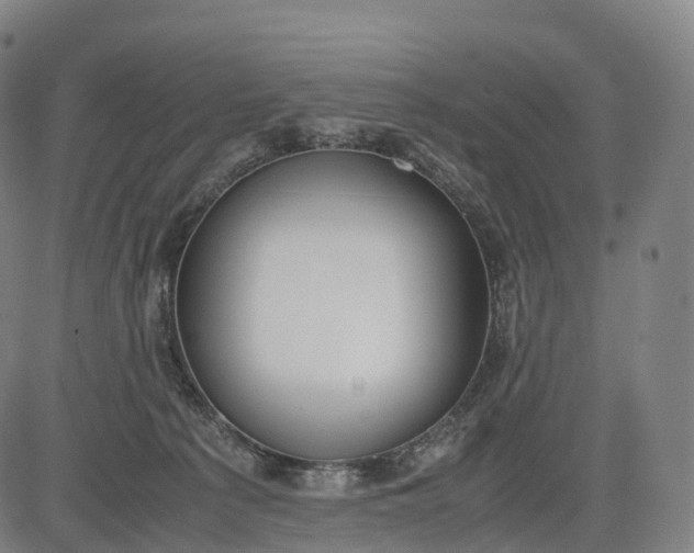 X0000083010225200702161559