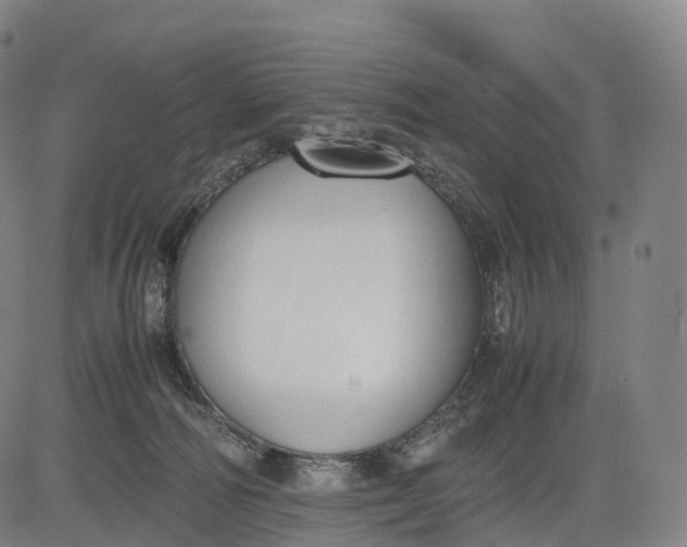 X0000083010226200702161559