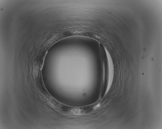 X0000083010227200702161559