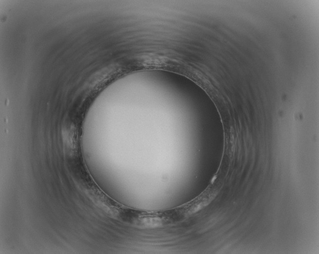 X0000083010228200702161559